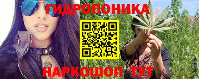 стафф Заводоуковск